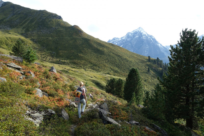 Alpengasthof Lsens - Hochgrafljoch - Hohe Rte - Gallwieser Mittergrat - Roter Kogel - Zirmweg - Alpengasthof Lsens