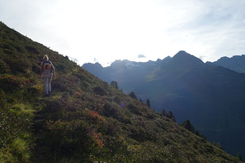 Alpengasthof Lsens - Hochgrafljoch - Hohe Rte - Gallwieser Mittergrat - Roter Kogel - Zirmweg - Alpengasthof Lsens