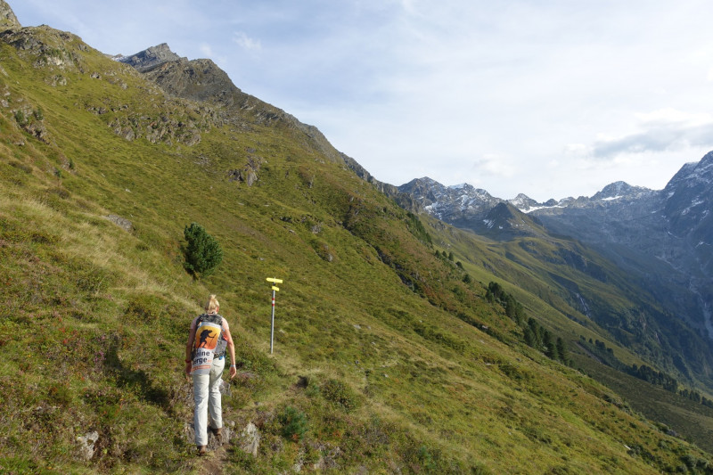 Alpengasthof Lsens - Hochgrafljoch - Hohe Rte - Gallwieser Mittergrat - Roter Kogel - Zirmweg - Alpengasthof Lsens
