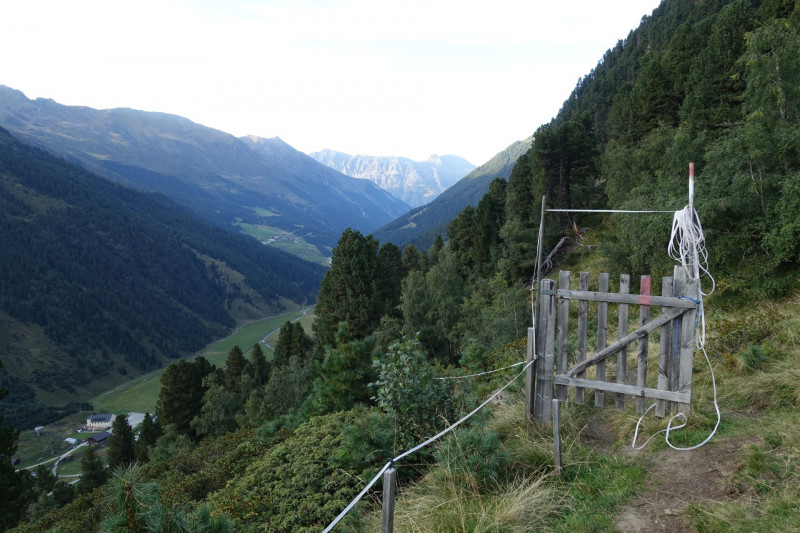 Alpengasthof Lsens - Hochgrafljoch - Hohe Rte - Gallwieser Mittergrat - Roter Kogel - Zirmweg - Alpengasthof Lsens