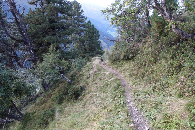 Alpengasthof Lsens - Hochgrafljoch - Hohe Rte - Gallwieser Mittergrat - Roter Kogel - Zirmweg - Alpengasthof Lsens