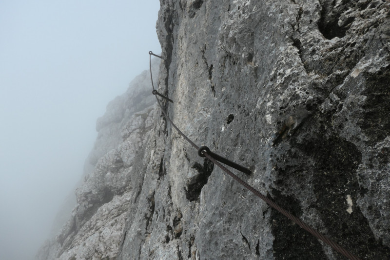 Hochalm - Mauerlufer Kletttersteig - Bernadeinkopf - Schngnge