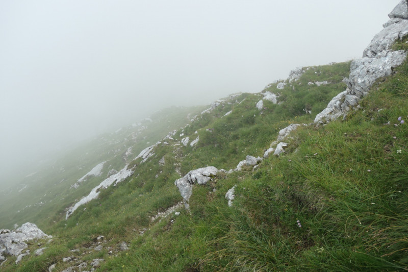 Hochalm - Mauerlufer Kletttersteig - Bernadeinkopf - Schngnge