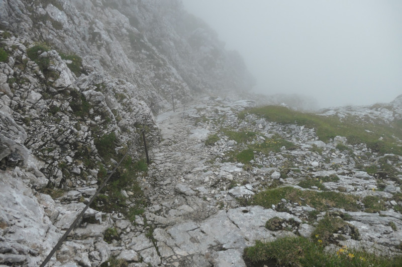 Hochalm - Mauerlufer Kletttersteig - Bernadeinkopf - Schngnge