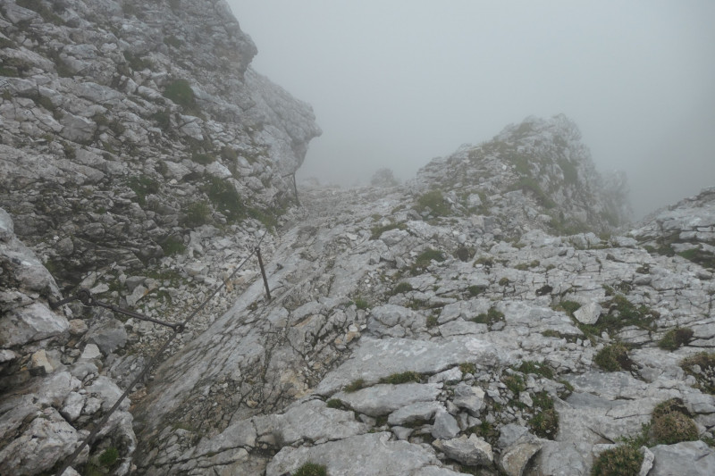 Hochalm - Mauerlufer Kletttersteig - Bernadeinkopf - Schngnge
