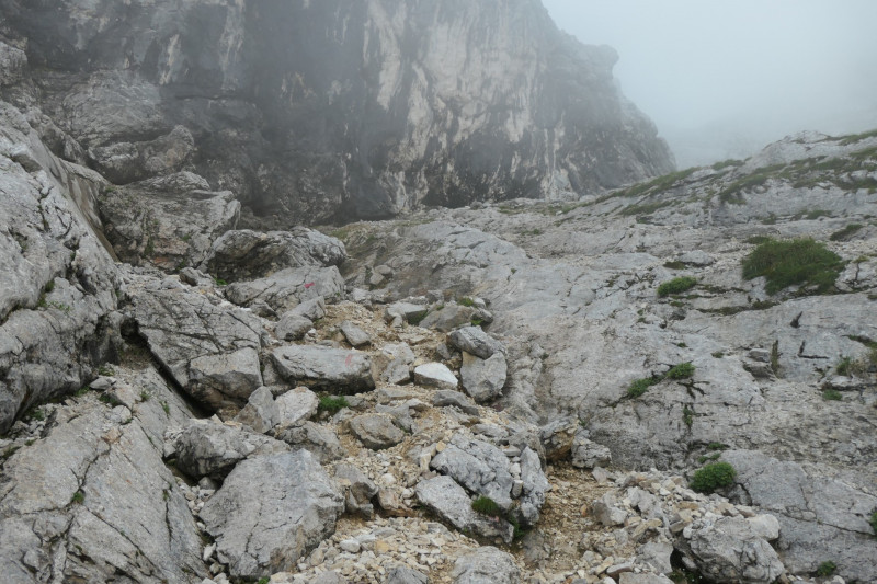 Hochalm - Mauerlufer Kletttersteig - Bernadeinkopf - Schngnge