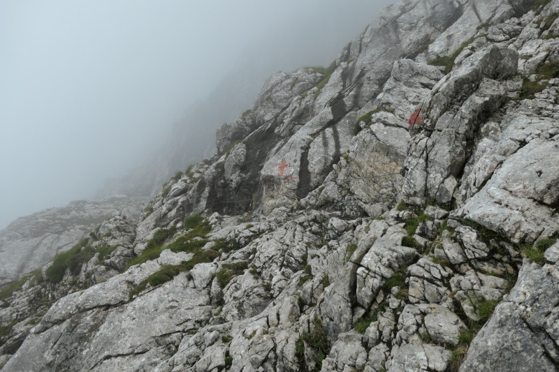 Hochalm - Mauerlufer Kletttersteig - Bernadeinkopf - Schngnge