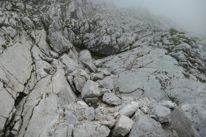 Hochalm - Mauerlufer Kletttersteig - Bernadeinkopf - Schngnge