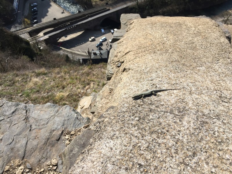 Altenahr 3 Runden mit Grat