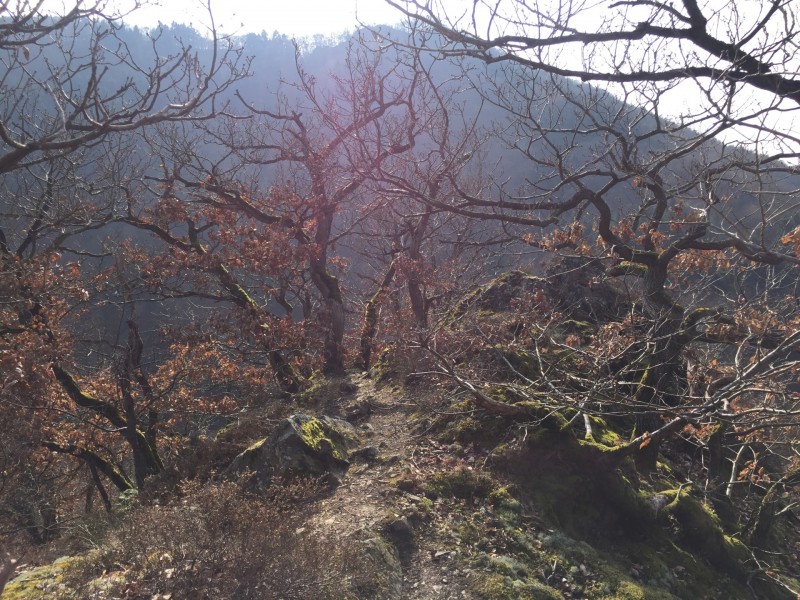 Altenahr 3 Runden mit Grat