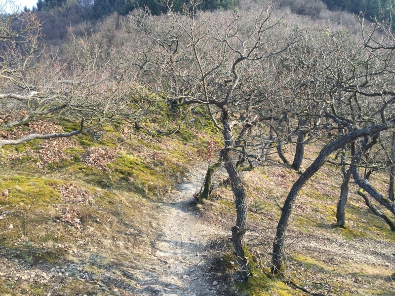 Altenahr 3 Runden mit Grat