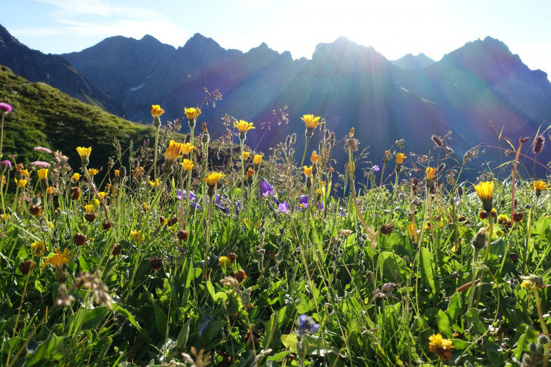 Augsburger Höhenweg: Ansbacher Hütte - Dawinkopf - Gatschkopf - Augsburger Hütte
