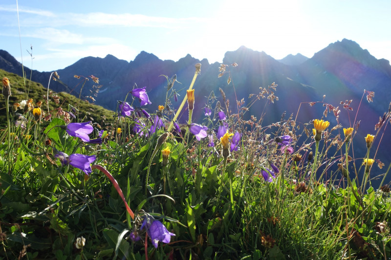 Augsburger Höhenweg: Ansbacher Hütte - Dawinkopf - Gatschkopf - Augsburger Hütte