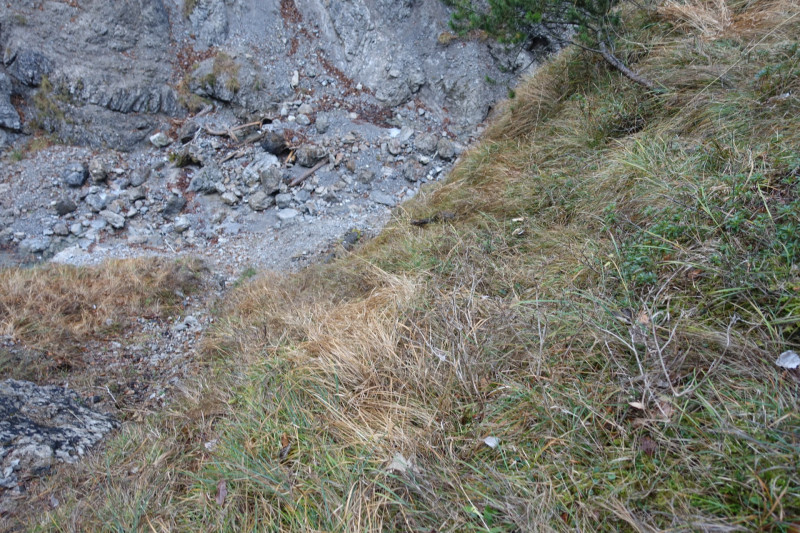 Archtallaine