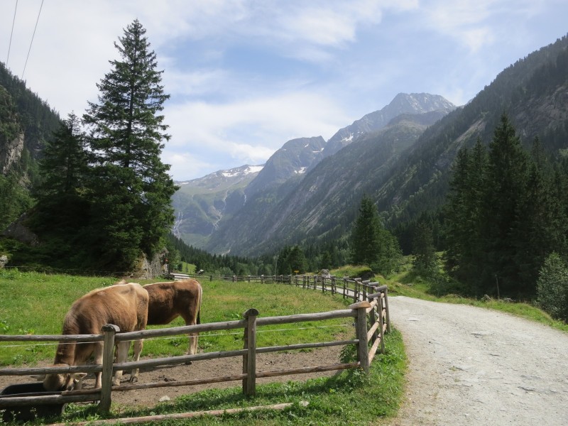 Aufstieg Berliner H�tte