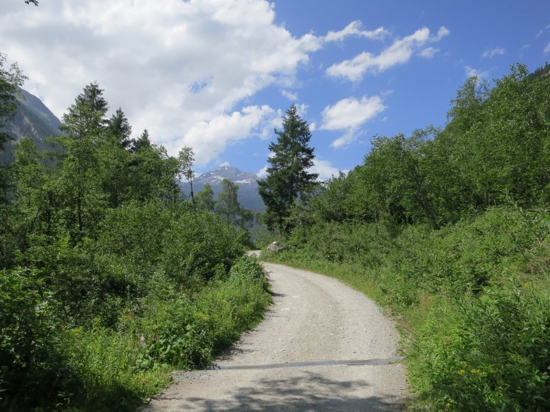 Aufstieg Berliner H�tte