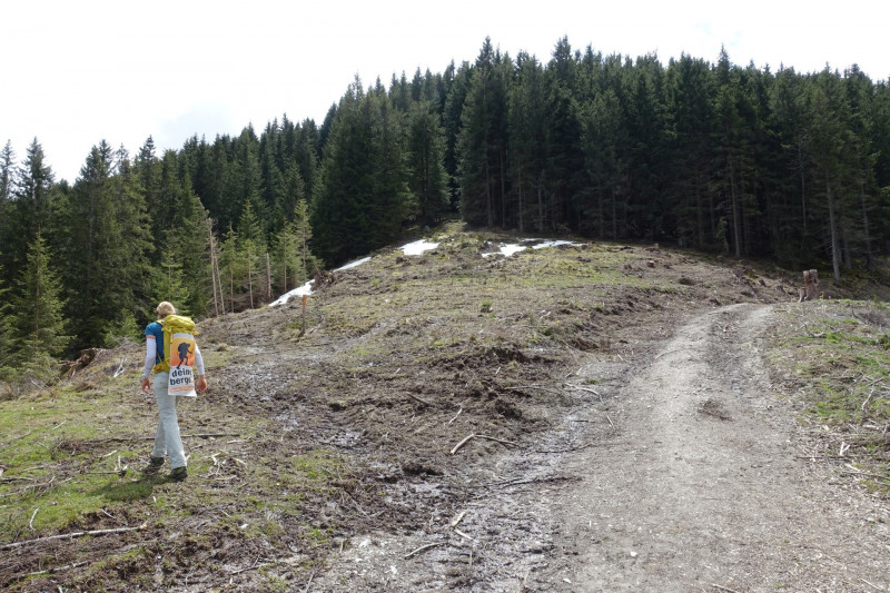 Bad Kohlgrub - Elmauberg - Hinteres H�rnle - Ri�berg