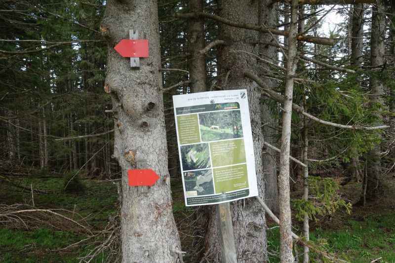 Bad Kohlgrub - Elmauberg - Hinteres H�rnle - Ri�berg