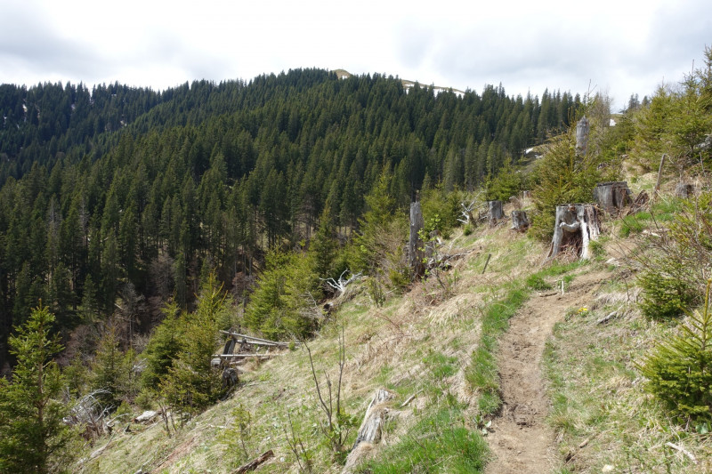 Bad Kohlgrub - Elmauberg - Hinteres H�rnle - Ri�berg