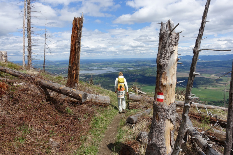 Bad Kohlgrub - Elmauberg - Hinteres H�rnle - Ri�berg