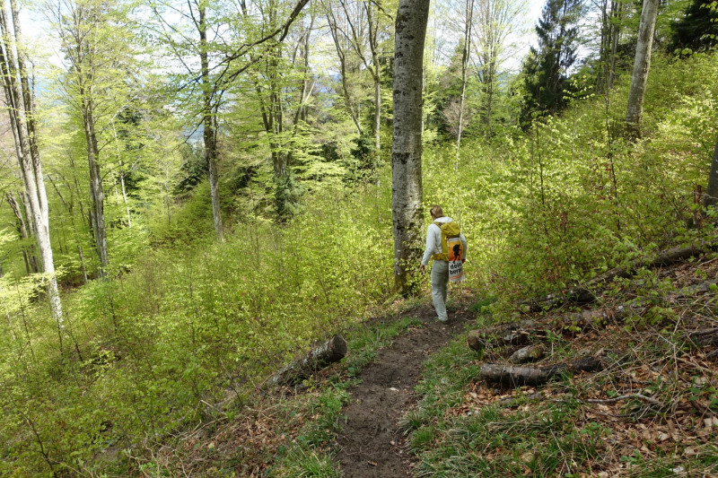 Bad Kohlgrub - Elmauberg - Hinteres H�rnle - Ri�berg