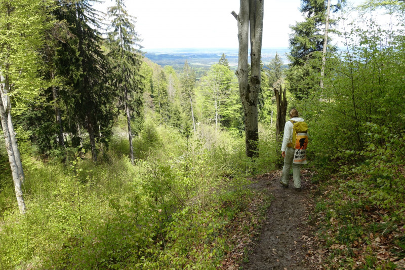 Bad Kohlgrub - Elmauberg - Hinteres H�rnle - Ri�berg