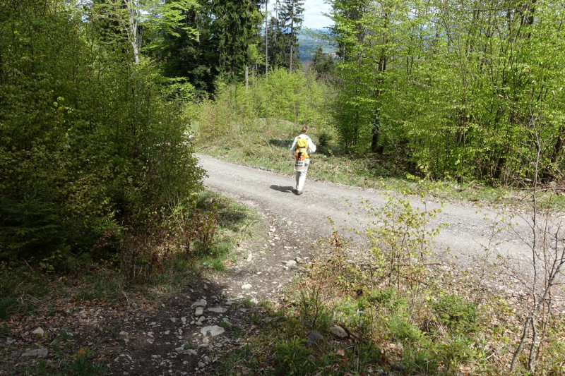 Bad Kohlgrub - Elmauberg - Hinteres H�rnle - Ri�berg