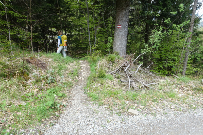 Bad Kohlgrub - Elmauberg - Hinteres H�rnle - Ri�berg