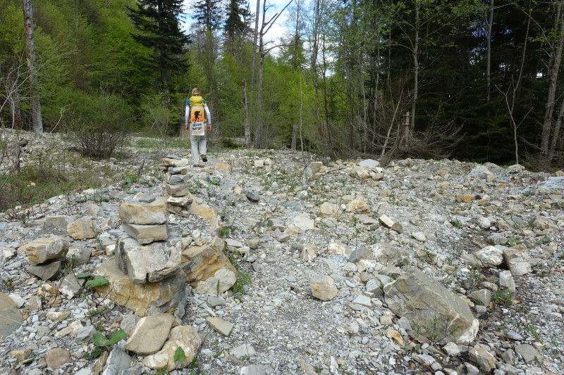 Bad Kohlgrub - Elmauberg - Hinteres H�rnle - Ri�berg