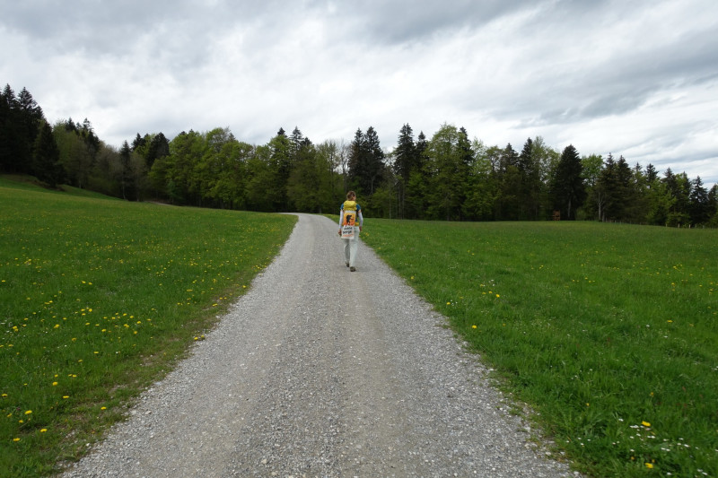 Bad Kohlgrub - Elmauberg - Hinteres H�rnle - Ri�berg