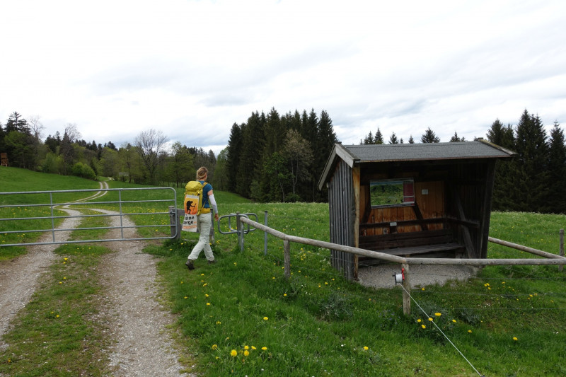 Bad Kohlgrub - Elmauberg - Hinteres H�rnle - Ri�berg