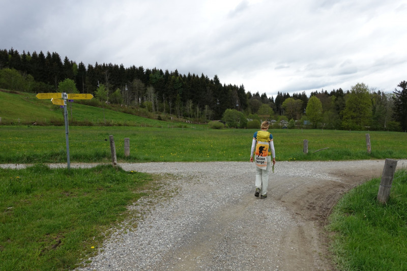 Bad Kohlgrub - Elmauberg - Hinteres H�rnle - Ri�berg