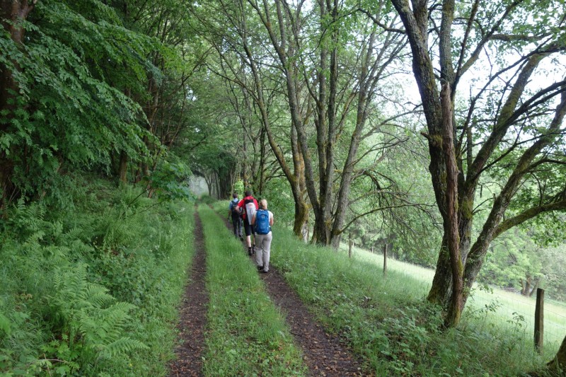 Bad Laasphe - Seeblick - Biedenkopf
