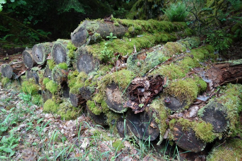 Bad Laasphe - Seeblick - Biedenkopf