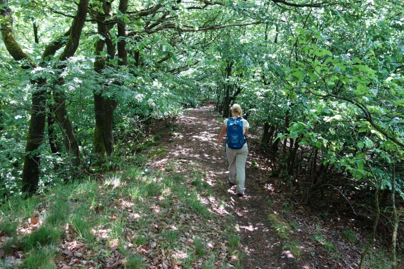Bad Laasphe - Seeblick - Biedenkopf