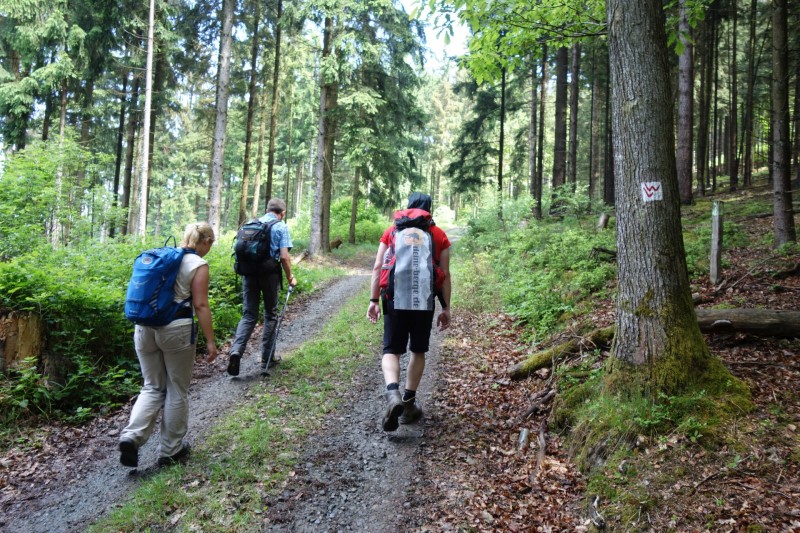 Bad Laasphe - Seeblick - Biedenkopf
