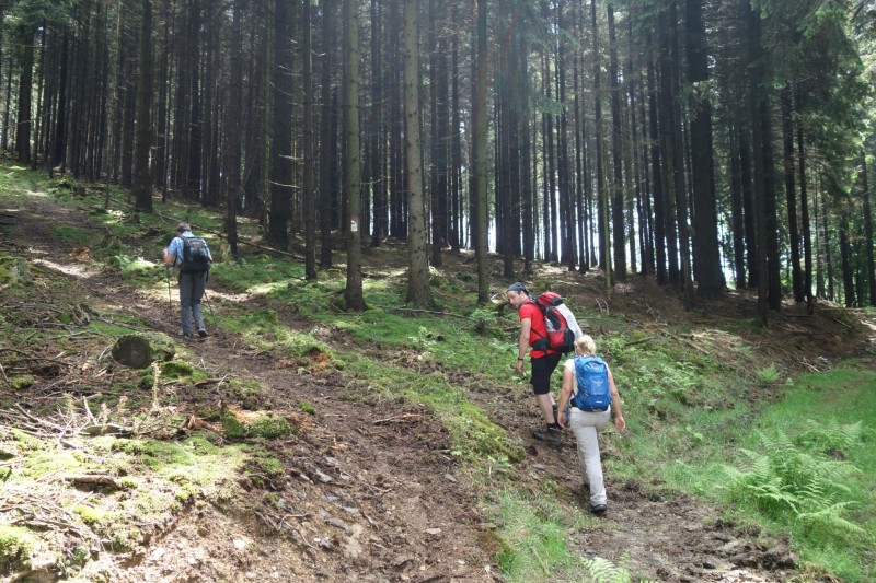 Bad Laasphe - Seeblick - Biedenkopf