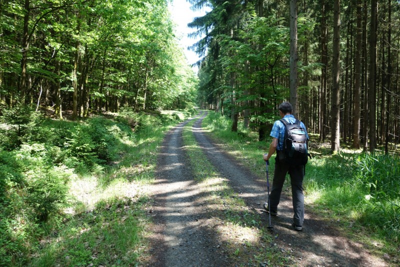 Bad Laasphe - Seeblick - Biedenkopf