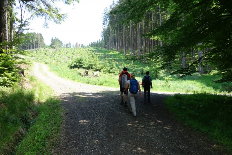 Bad Laasphe - Seeblick - Biedenkopf