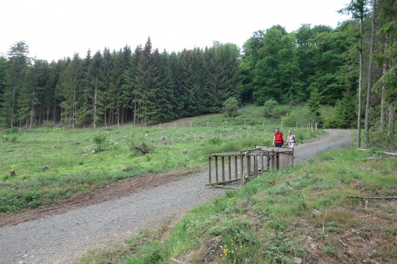Bad Laasphe - Seeblick - Biedenkopf