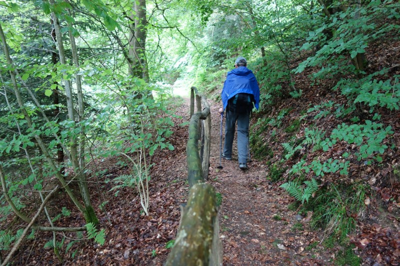 Bad Laasphe - Seeblick - Biedenkopf
