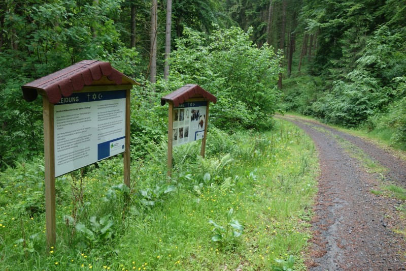 Bad Laasphe - Seeblick - Biedenkopf