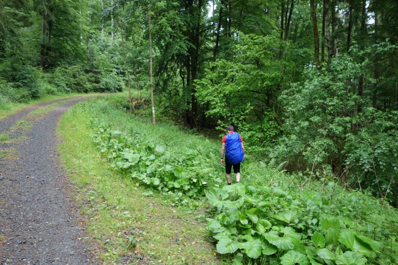 Bad Laasphe - Seeblick - Biedenkopf