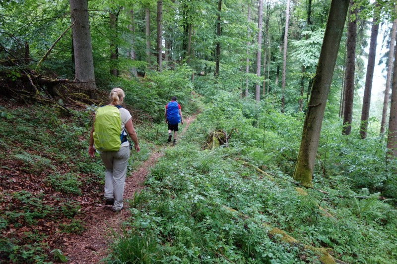 Bad Laasphe - Seeblick - Biedenkopf