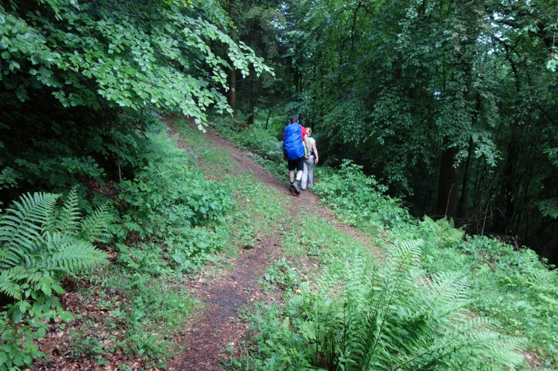 Bad Laasphe - Seeblick - Biedenkopf