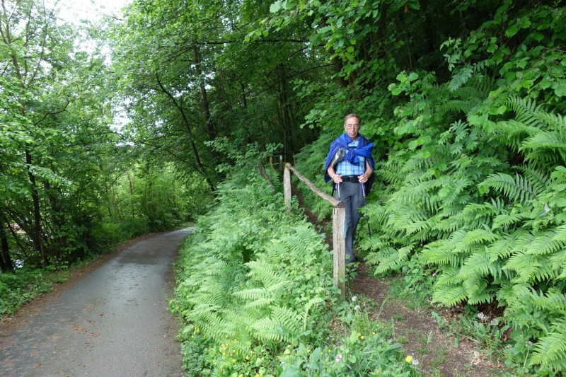 Bad Laasphe - Seeblick - Biedenkopf