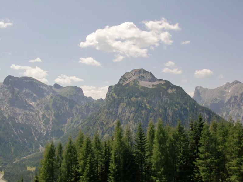 B�renkopf