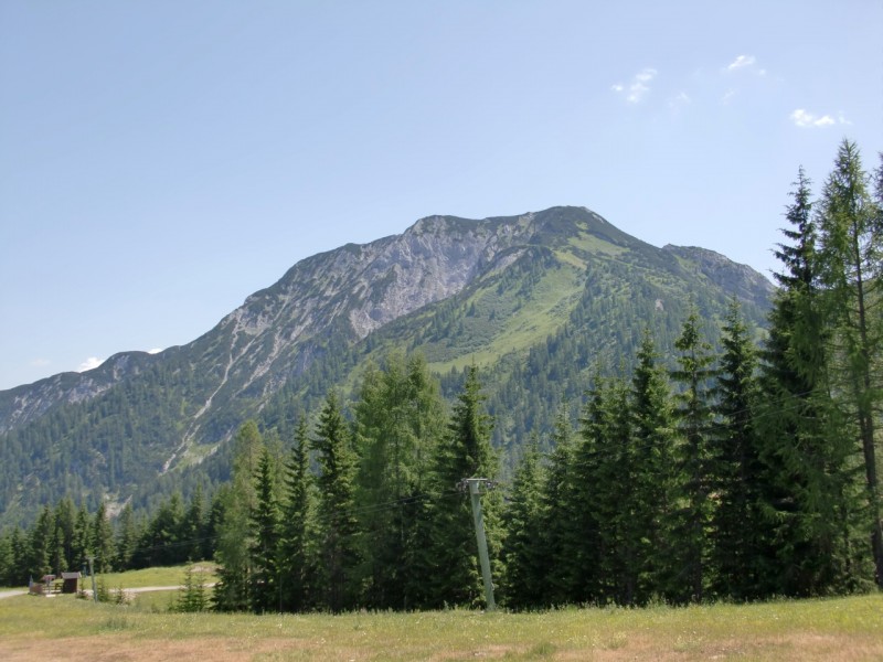 B�renkopf