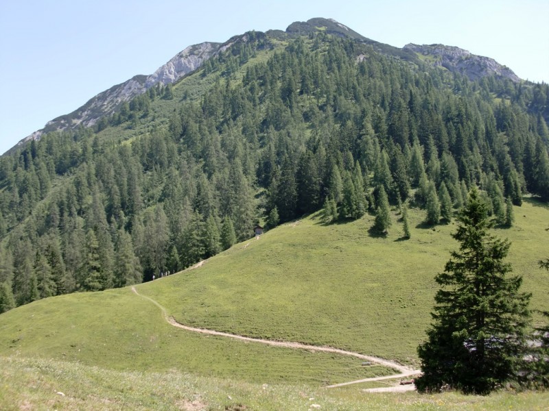 B�renkopf