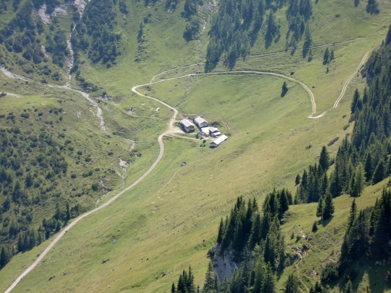 B�renkopf